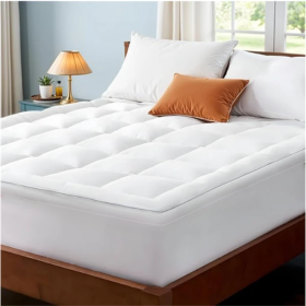 450g Filled Cotton Mattress (Option: White-Queen)